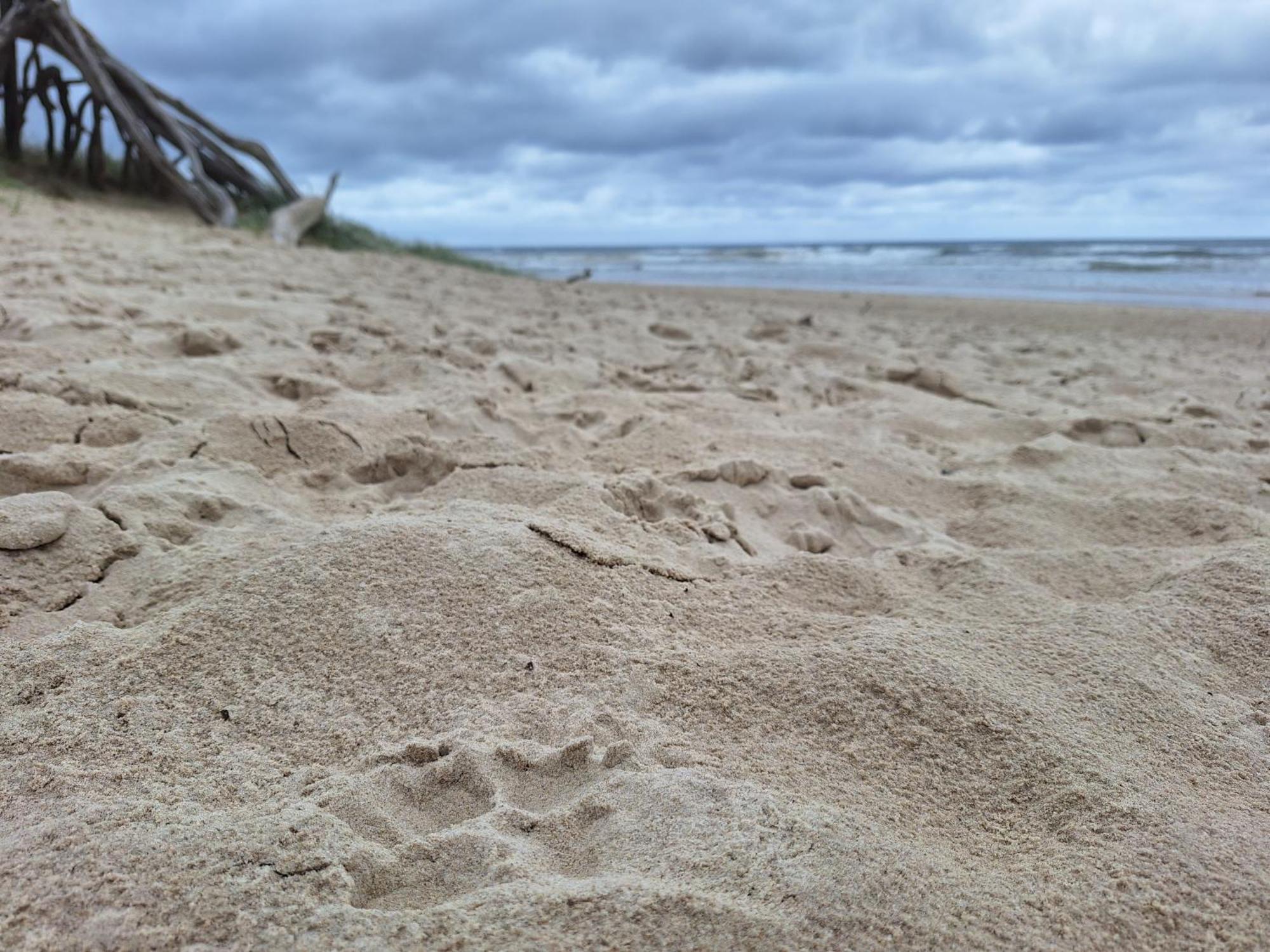 Ballina Beach Nature Resort エクステリア 写真